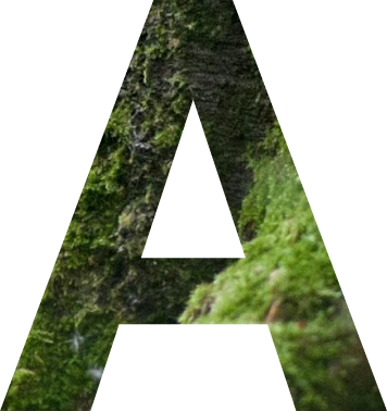 e2_img_05.png